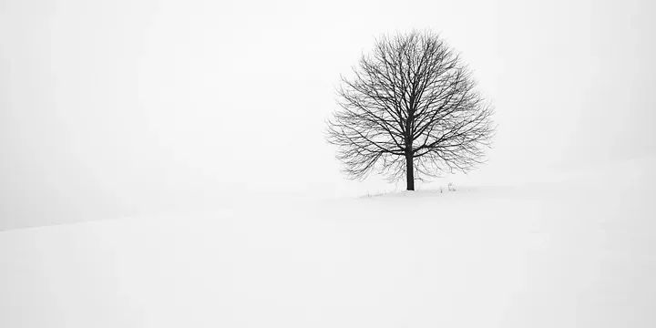 Featured image of post The Greatest Wisdom Is to Know Yourself Clearly