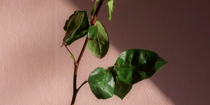 Featured image of post If You Have More Than 3 of These, You’re Very Lucky, So Enjoy It Secretly