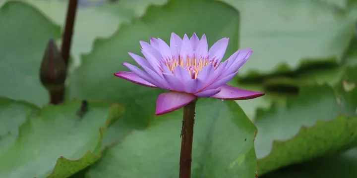 Featured image of post When You Reach Middle Age, It’s Better to Cut Off Ties with Relatives Who Have These “Flaws”