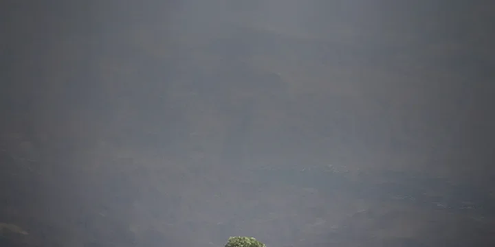 Featured image of post The 3 People You Meet in Life Who Will Change Your Destiny Forever