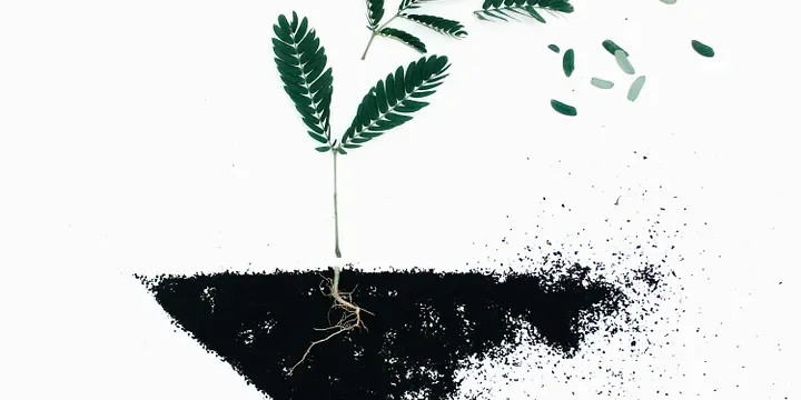 Featured image of post As We Grow Older, We Realize: Those Who Left Us Are Actually a Blessing